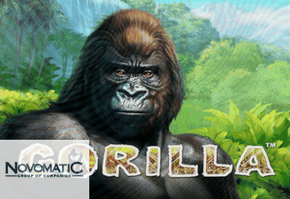 Gorilla